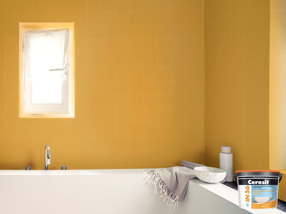CERESIT IN 56 FOR KITCHEN & BATH (ЦЕРЕЗИТ ИН 56 ДЛЯ КУХНИ И ВАННЫ)