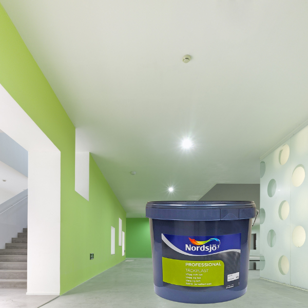 SADOLIN PROFESSIONAL TACKPLAST (САДОЛИН ПРОФЕССИОНАЛ ТАКПЛАСТ)