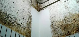 TIKKURILA BIORID