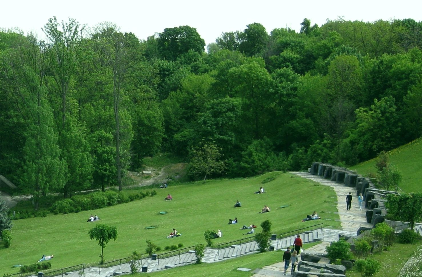 RASENLUX DOROJNIY