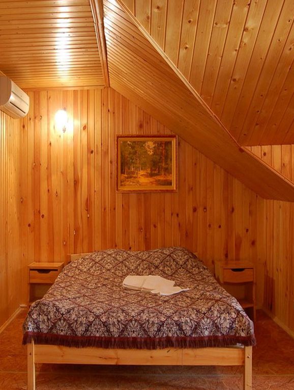 BIONIC HOUSE VARNISH PANEL